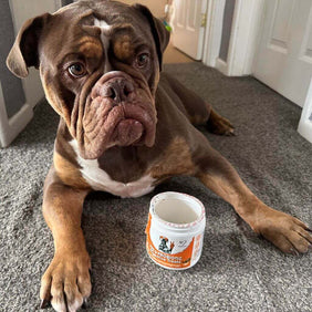 Immunity Defense & Itch Kit - NutriPaw