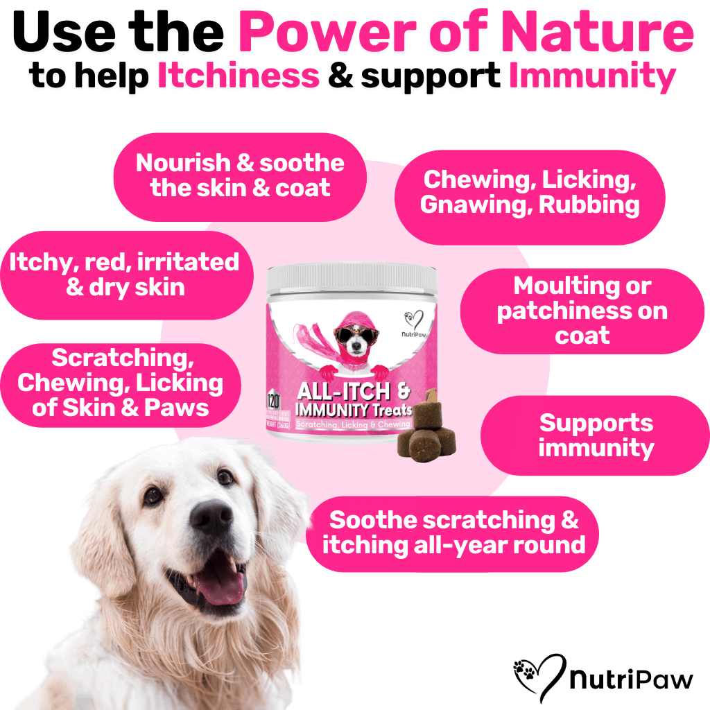 Itchy Dog Kit NutriPaw