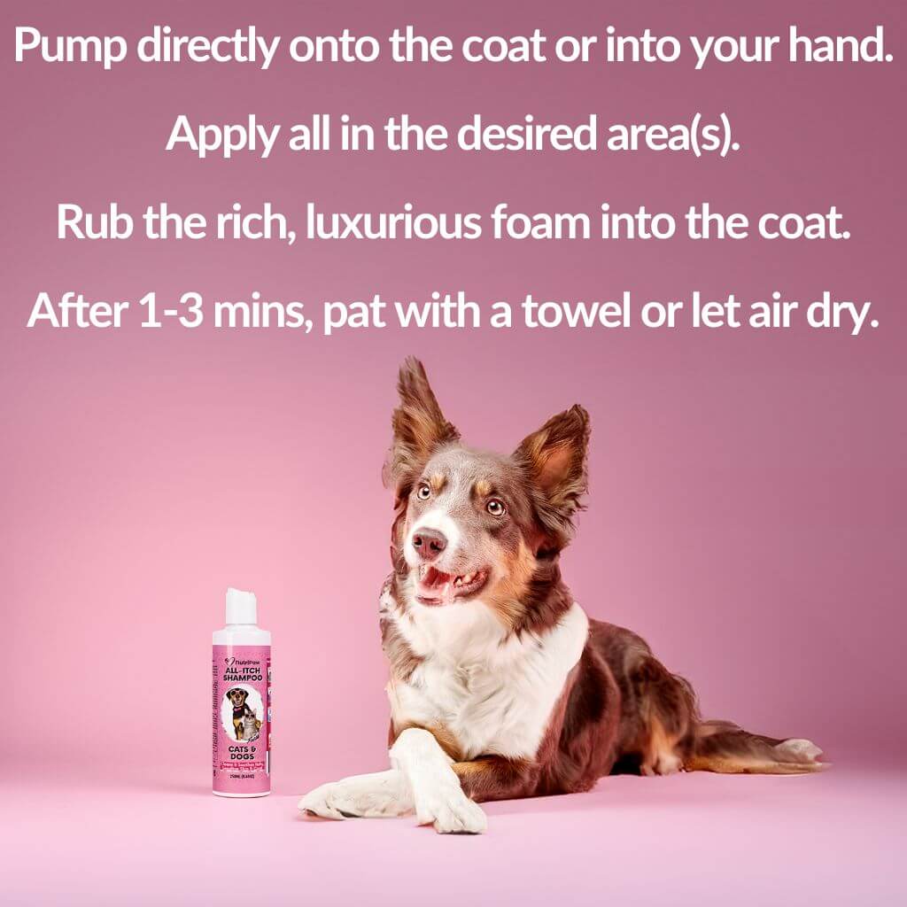 No-Rinse Skin &amp; Coat Foam - NutriPaw