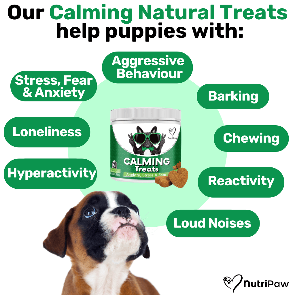 How much is it to nurture a deals dog