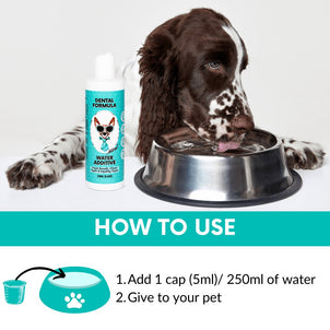 NutriPaw's #1 Kit - NutriPaw