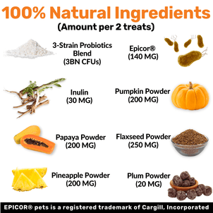 NutriPaw's #1 Kit - NutriPaw