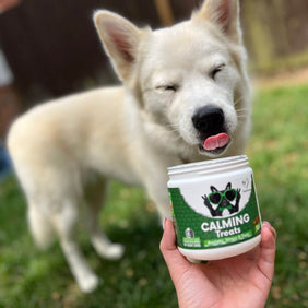 NutriPaw's #1 Kit - NutriPaw