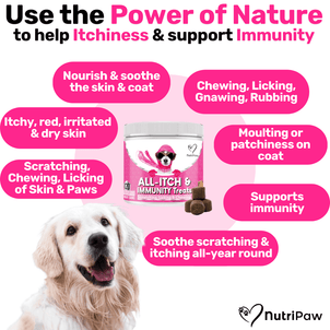 NutriPaw's #1 Kit - NutriPaw
