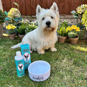 NutriPaw's #1 Kit - NutriPaw