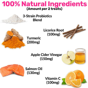 NutriPaw's #1 Kit - NutriPaw