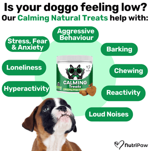 NutriPaw's #1 Kit - NutriPaw