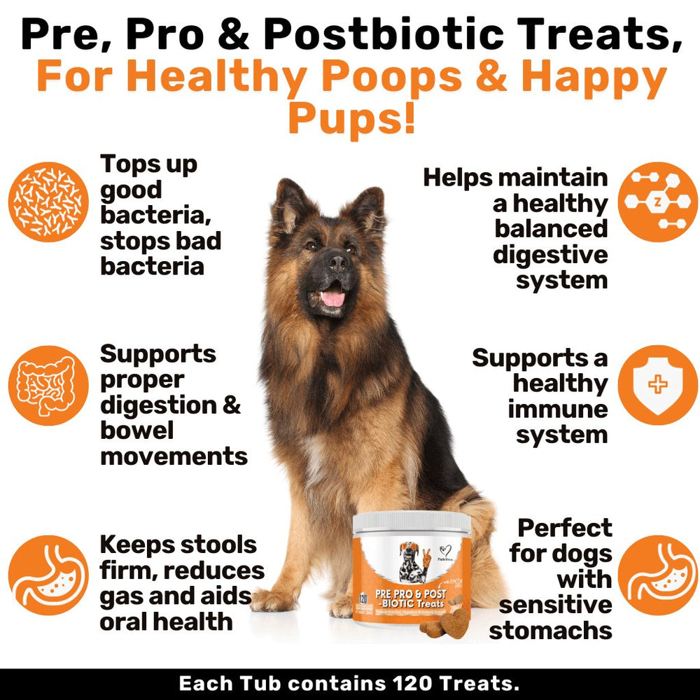 Pre, Pro & Postbiotic Digestive Treats - NutriPaw