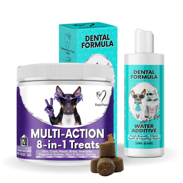 Proactive Wellness Pack - NutriPaw