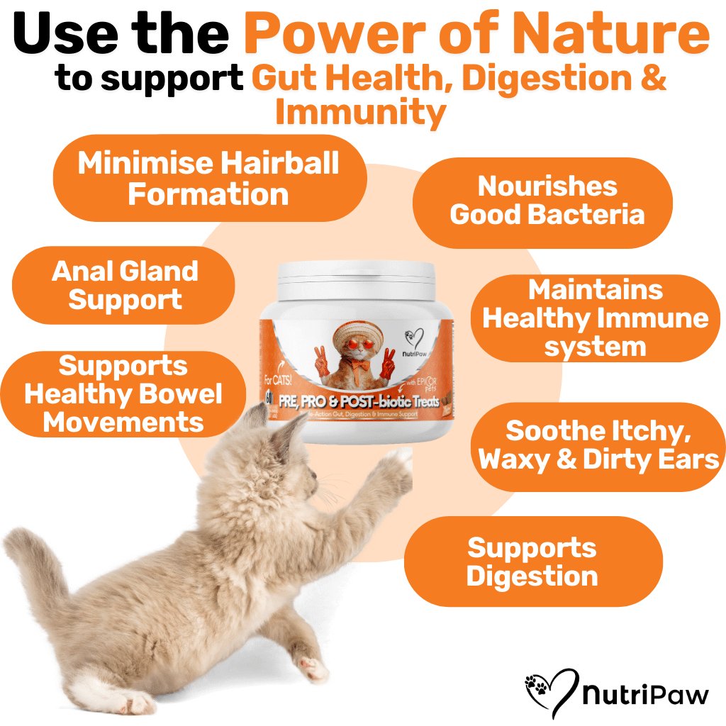 Probiotics Hairball Chews NutriPaw - Main Image