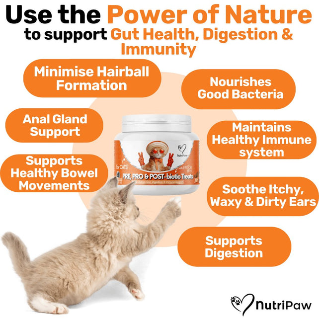 Probiotics & Hairball Chews - NutriPaw