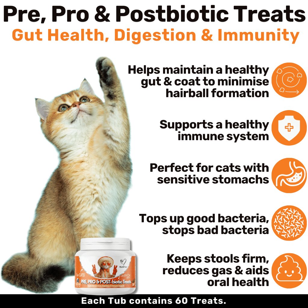 Probiotics & Hairball Chews - NutriPaw