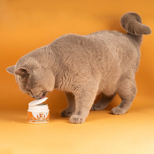 Probiotics & Hairball Chews - NutriPaw