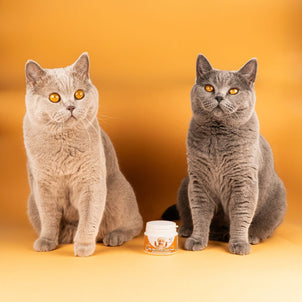 Probiotics & Hairball Chews - NutriPaw