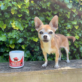 Silky Skin, Fab Fur Kit - NutriPaw