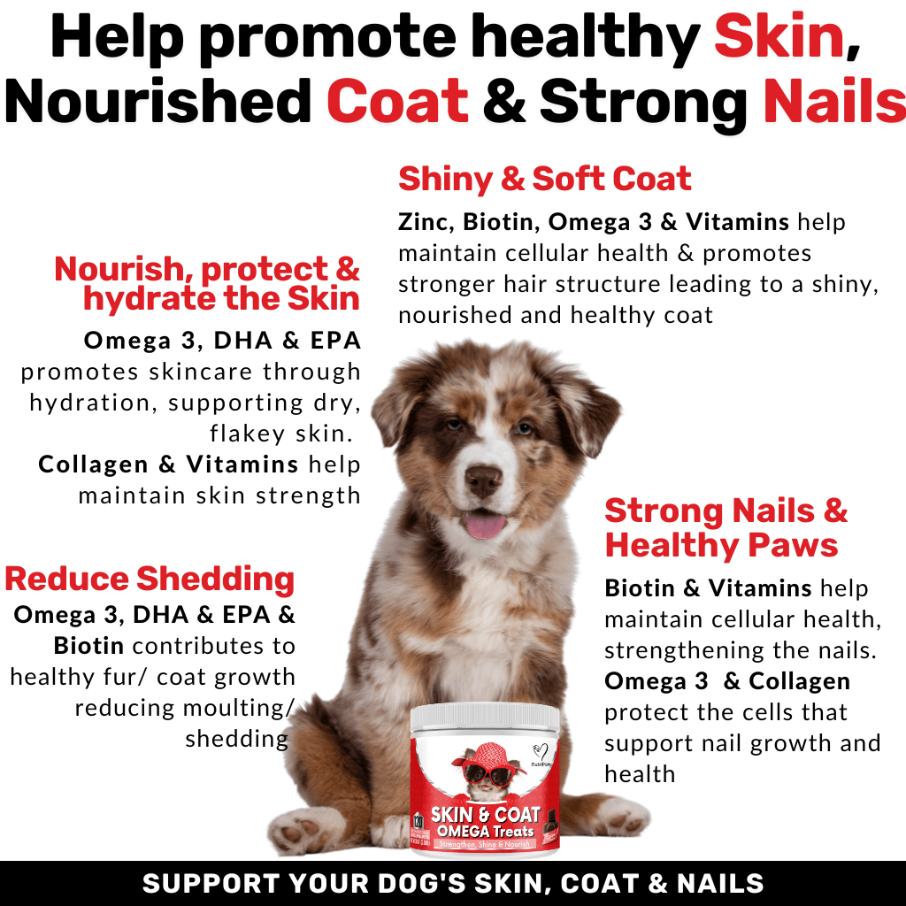 Skin, Coat & Nails Omega Treats - NutriPaw