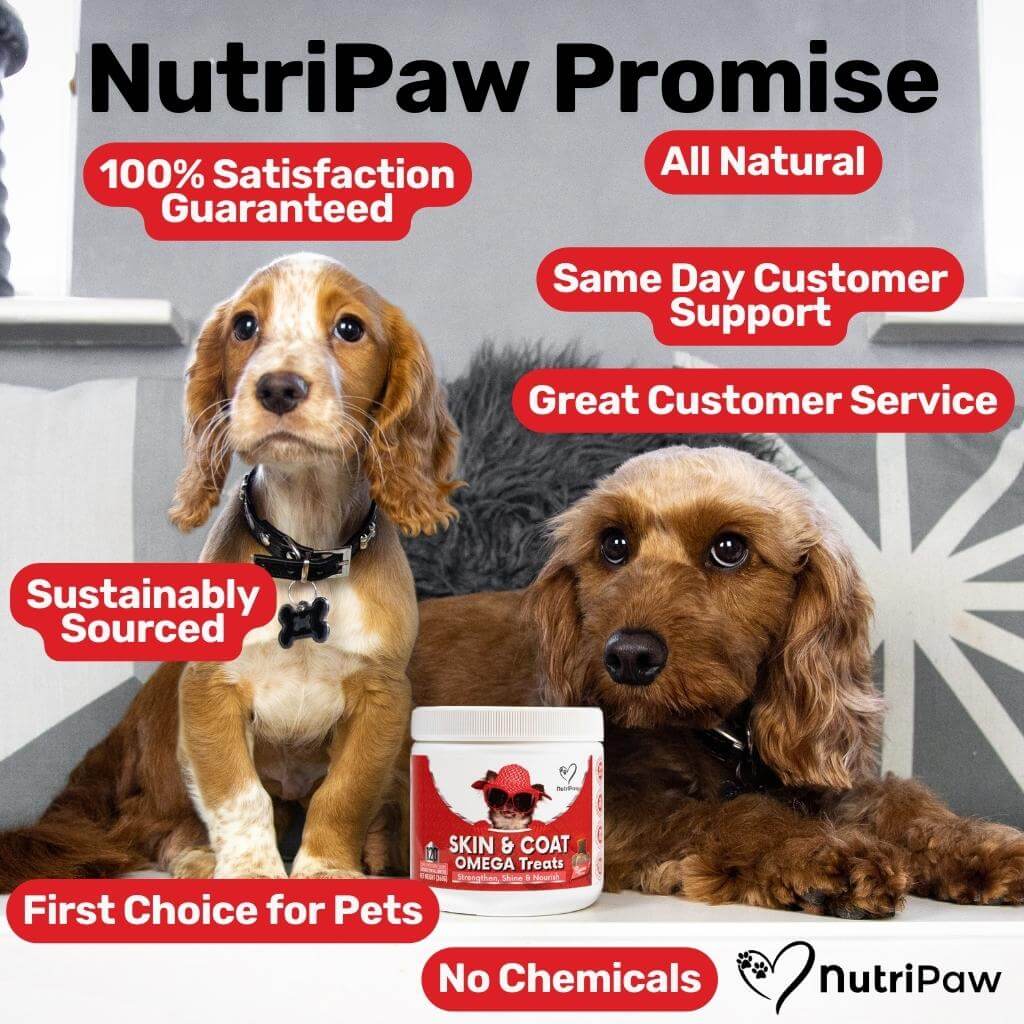 Skin, Coat & Nails Omega Treats - NutriPaw