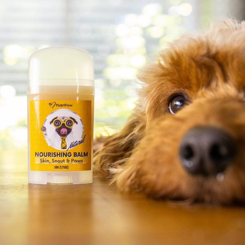 Skin, Snout & Paws Nourishing Balm - NutriPaw