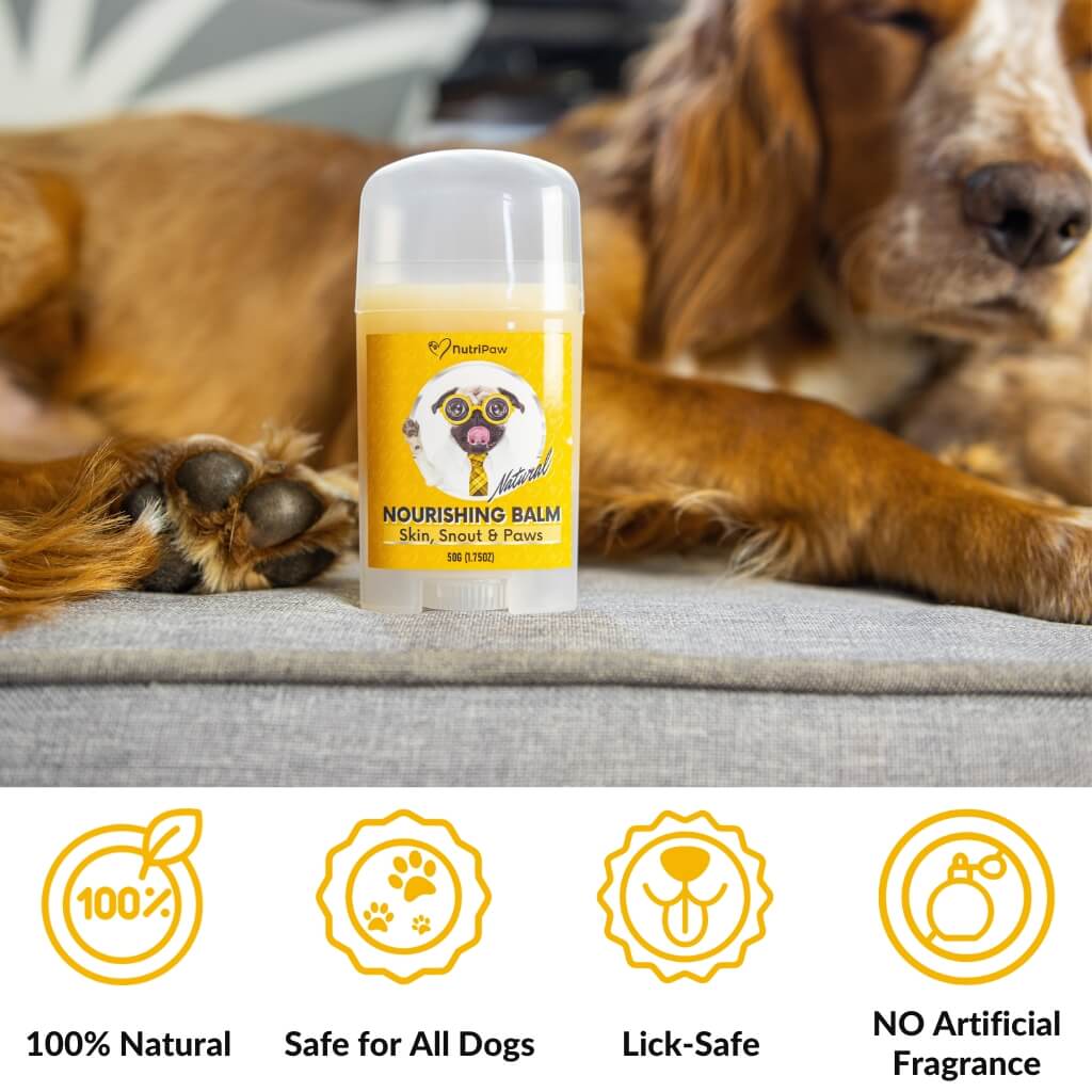 Skin, Snout & Paws Nourishing Balm - NutriPaw