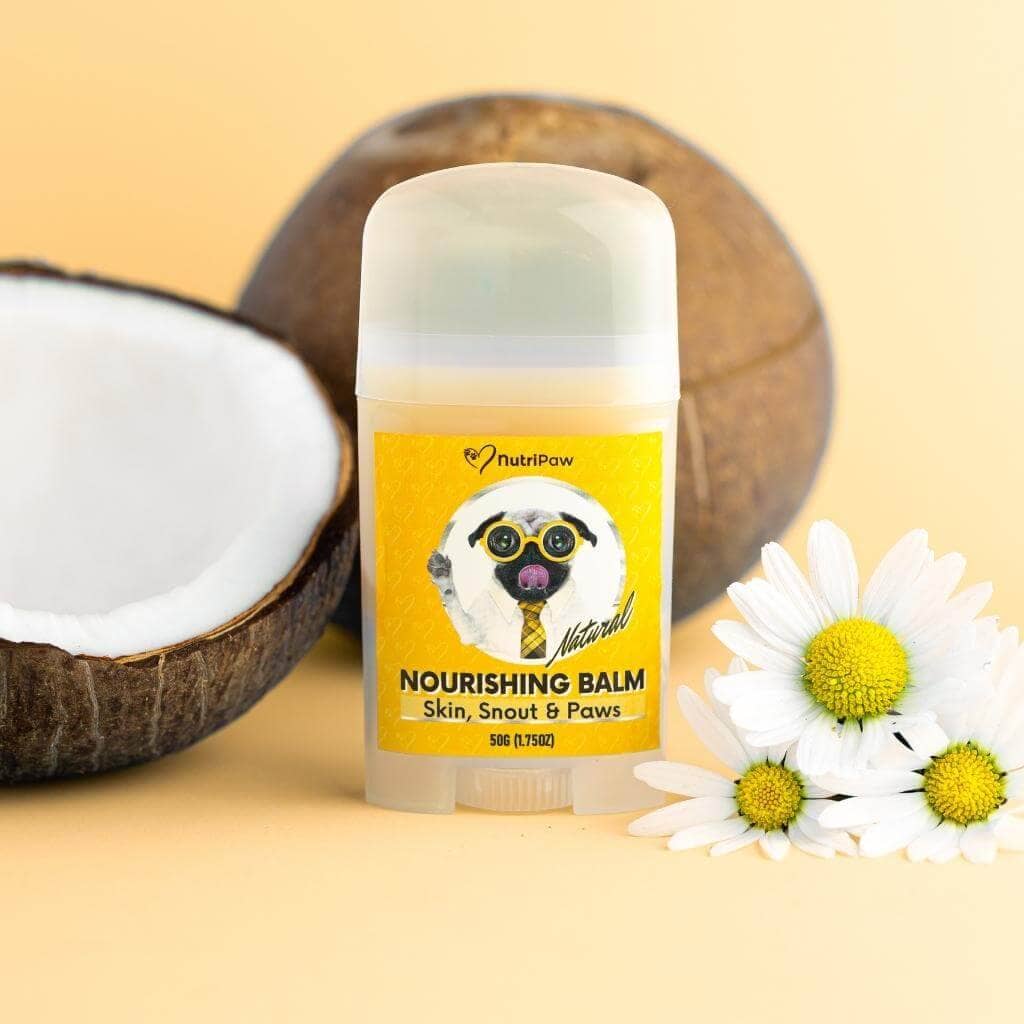 Skin, Snout & Paws Nourishing Balm - NutriPaw