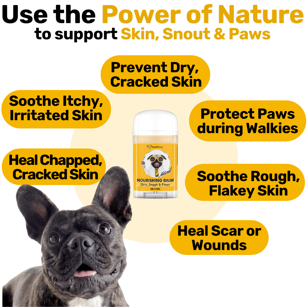 Skin, Snout & Paws Nourishing Balm - NutriPaw