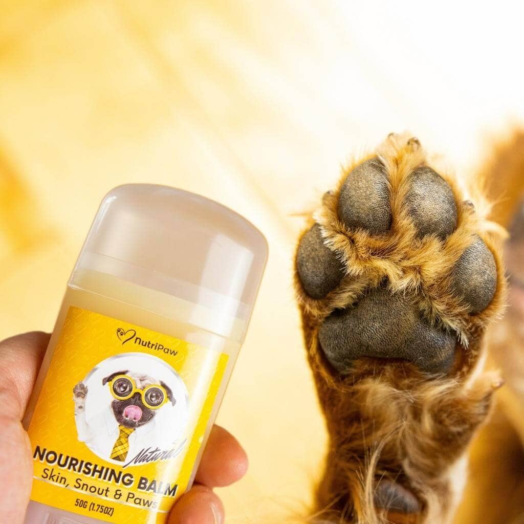 Skin, Snout & Paws Nourishing Balm - NutriPaw