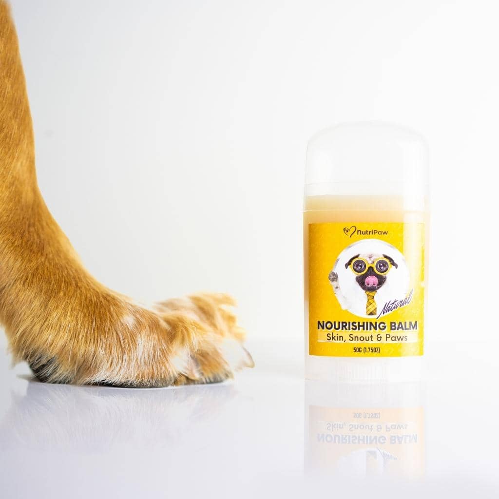 Skin, Snout & Paws Nourishing Balm - NutriPaw