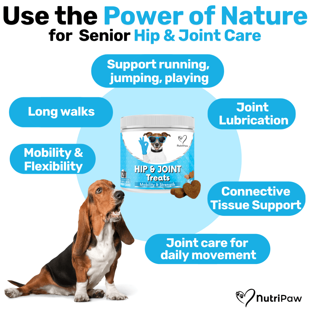 Stride Shine Pack NutriPaw - Main Image