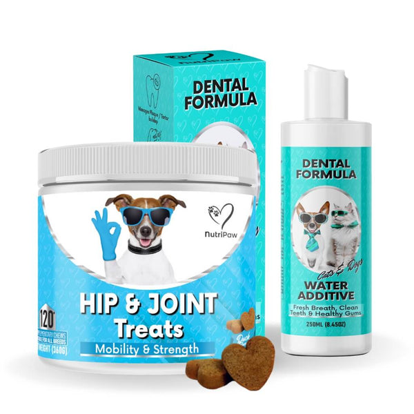 Stride & Shine Pack - NutriPaw