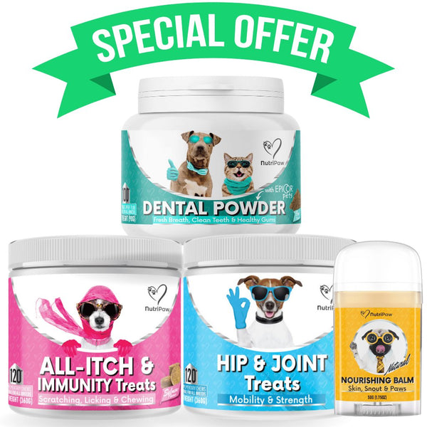 Top Vet Pack 2024 - NutriPaw